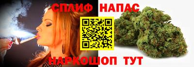 a pvp Свободный