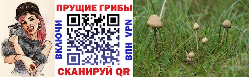 Галлюциногенные грибы мицелий Элиста