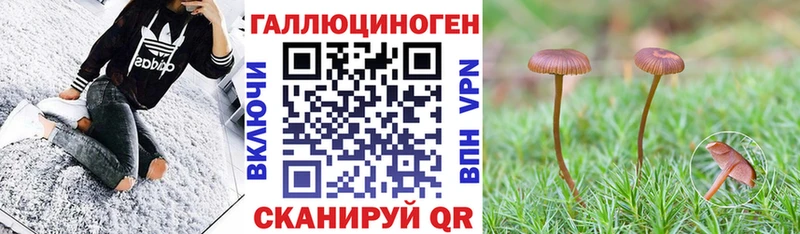 даркнет сайт  Элиста  ОМГ ОМГ зеркало  Галлюциногенные грибы GOLDEN TEACHER 