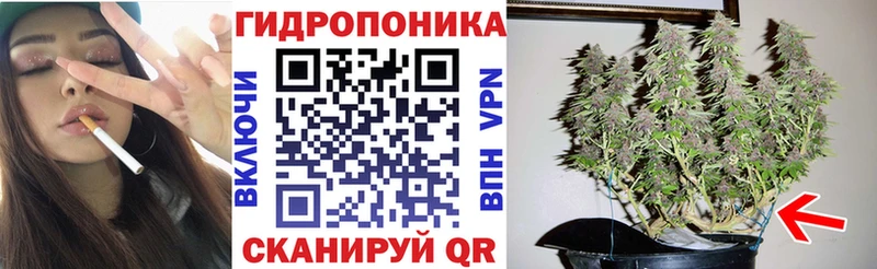 Бошки марихуана Bruce Banner Элиста